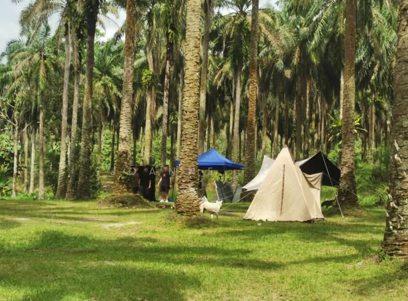Agricultural Land for Sale in Kampung Ulu Yam Lama (Ulu Yam) - Joanne Tan - PropertyGuru.com.my