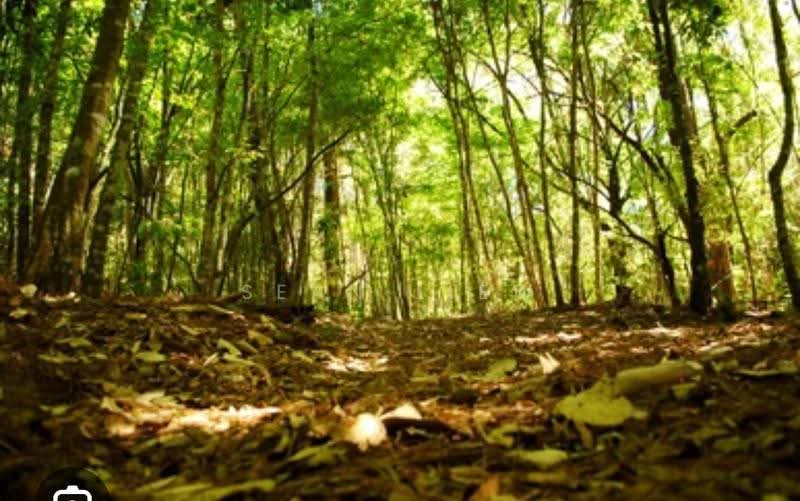 Agricultural Land for Sale in Rawang , Selangor (Rawang) - Sean Liew - PropertyGuru.com.my