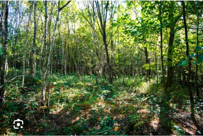 Tanah Pertanian untuk Dijual di Tanjung Agas , Port Dickson (Port Dickson) - Sean Liew - PropertyGuru.com.my
