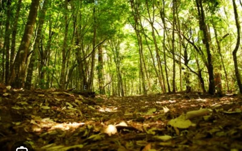 Tanah Pertanian untuk Dijual di Tanjung Agas , Port Dickson (Port Dickson) - Sean Liew - PropertyGuru.com.my