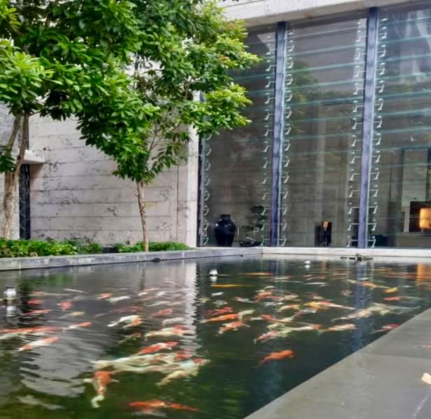 Condominium for Sale at The Binjai on the Park - Tom Ip - PropertyGuru.com.my