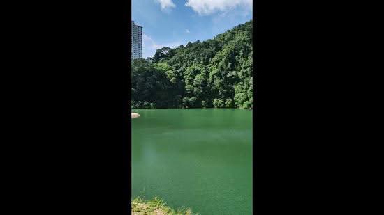 Rumah Banglo untuk Dijual di Petaling Jaya (Selangor) - Vanessa Lee - PropertyGuru.com.my