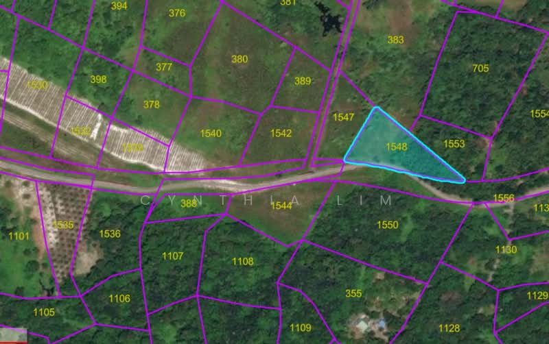 Agricultural Land for Sale in Lundu (Sarawak) - Cynthia Lim - PropertyGuru.com.my