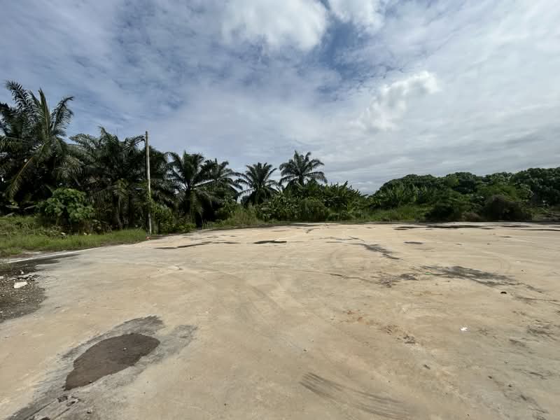 Agricultural Land for Sale in Kampung Teluk Mengkuang (Telok Panglima Garang) - Ben Lor - PropertyGuru.com.my
