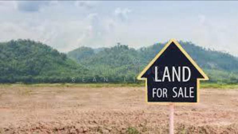 Agricultural Land for Sale in Balik Pulau Penang (Balik Pulau) - Sean Liew - PropertyGuru.com.my