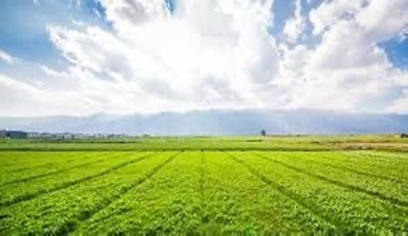 Agricultural Land for Sale in Balik Pulau Penang (Balik Pulau) - Sean Liew - PropertyGuru.com.my