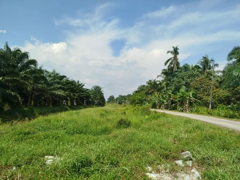 Tanah Pertanian untuk Dijual di Teluk Kerang (Pontian) - Alexius Lim - Exterior - PropertyGuru.com.my