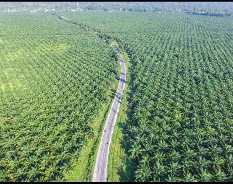 Agricultural Land for Sale in Kawasan Perindustrian Gurun (Gurun) - Sean Liew - PropertyGuru.com.my