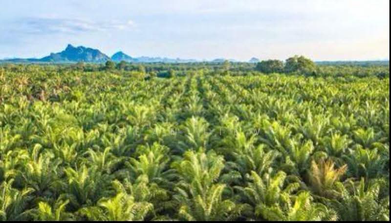 Agricultural Land for Sale in Kawasan Perindustrian Gurun (Gurun) - Sean Liew - PropertyGuru.com.my