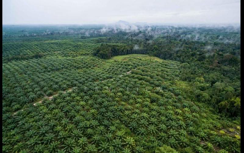 Agricultural Land for Sale in Kawasan Perindustrian Gurun (Gurun) - Sean Liew - PropertyGuru.com.my
