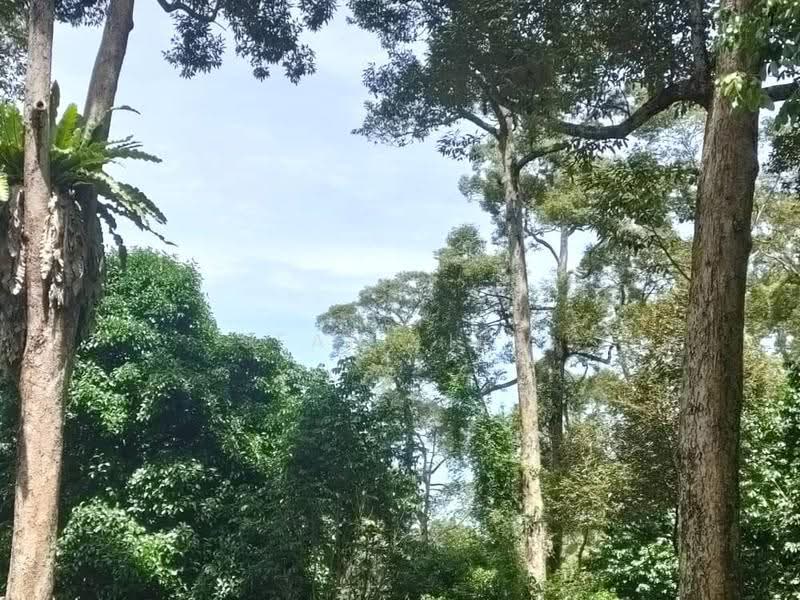 Agricultural Land for Sale in Pulau Penang (Bayan Lepas) - Sean Liew - PropertyGuru.com.my