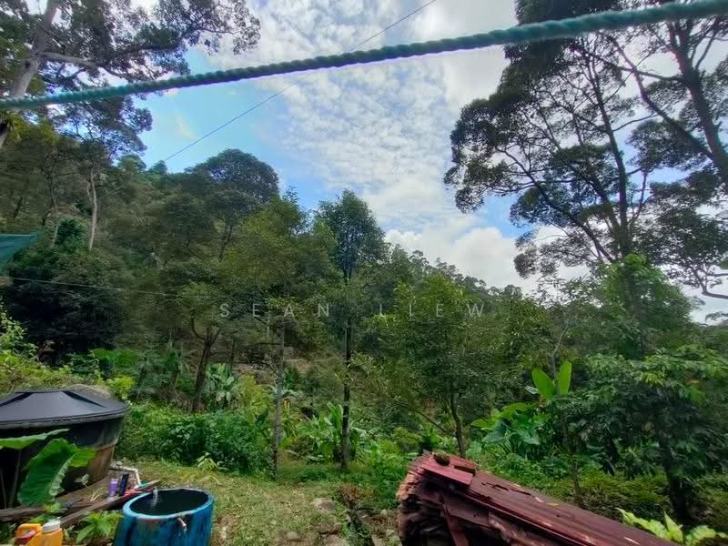 Agricultural Land for Sale in Pulau Penang (Bayan Lepas) - Sean Liew - PropertyGuru.com.my