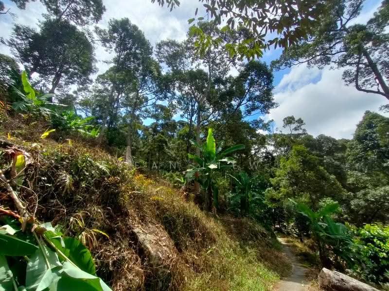Agricultural Land for Sale in Pulau Penang (Bayan Lepas) - Sean Liew - PropertyGuru.com.my