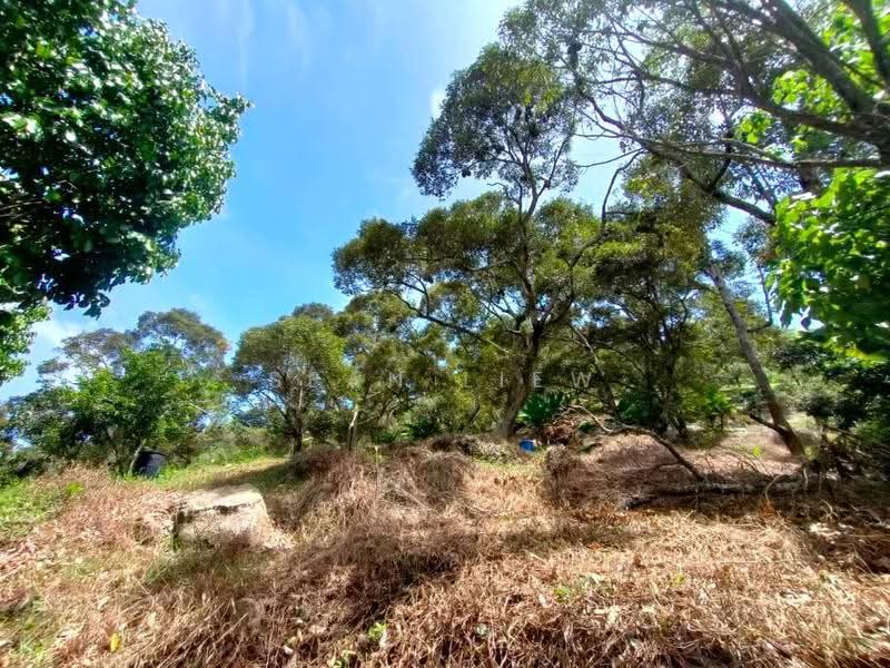 Agricultural Land for Sale in Pulau Penang (Bayan Lepas) - Sean Liew - PropertyGuru.com.my
