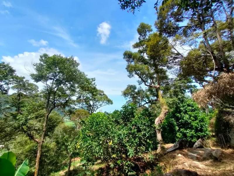Agricultural Land for Sale in Pulau Penang (Bayan Lepas) - Sean Liew - PropertyGuru.com.my