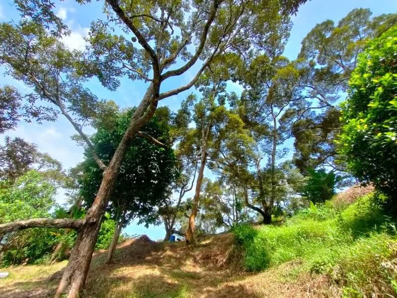 Agricultural Land for Sale in Pulau Penang (Bayan Lepas) - Sean Liew - PropertyGuru.com.my