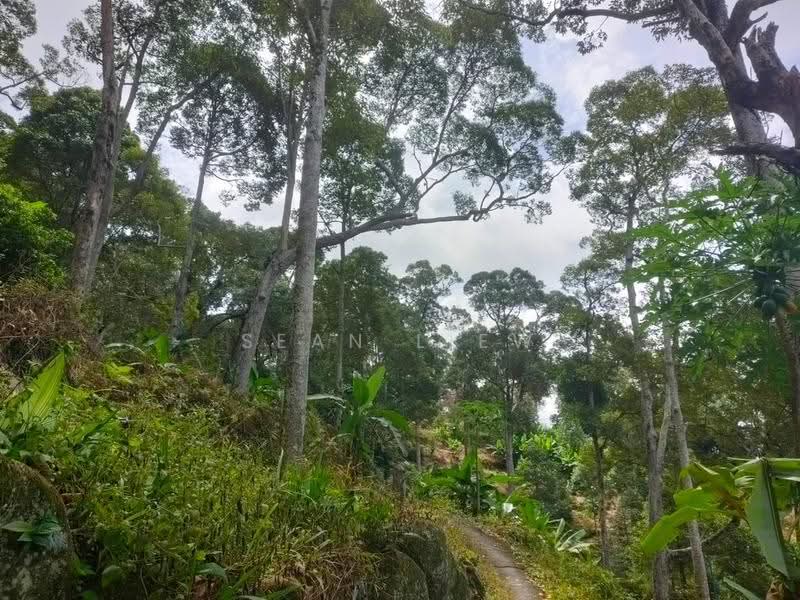 Agricultural Land for Sale in Pulau Penang (Bayan Lepas) - Sean Liew - PropertyGuru.com.my
