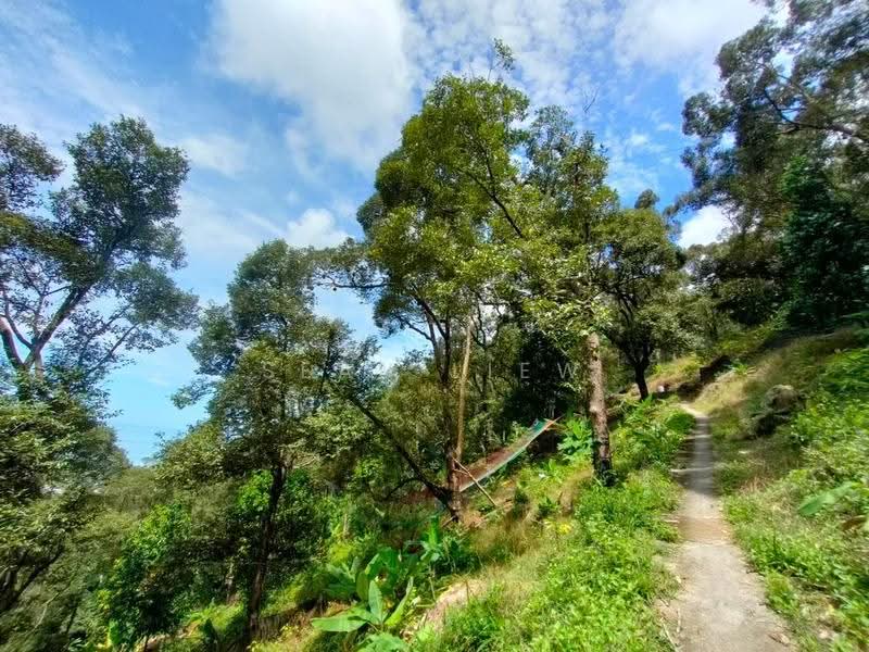 Agricultural Land for Sale in Pulau Penang (Bayan Lepas) - Sean Liew - PropertyGuru.com.my