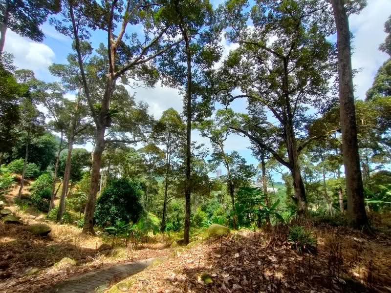Agricultural Land for Sale in Pulau Penang (Bayan Lepas) - Sean Liew - PropertyGuru.com.my