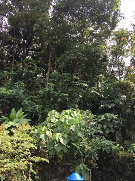 Bungalow Land for Sale in Bukit Gasing (Petaling Jaya) - Yeow Li Siew - PropertyGuru.com.my
