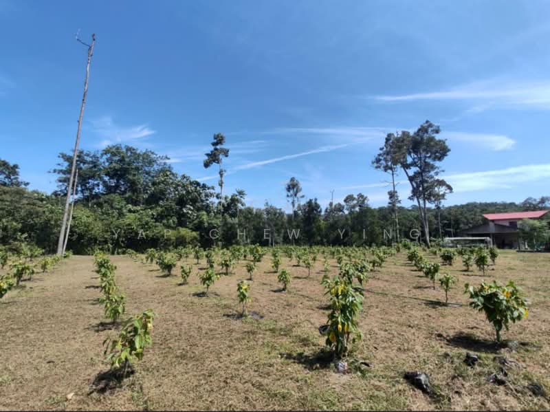 Agricultural Land for Sale in Kampung Batu 30 (Ulu Yam) - Yap Chew Ying - PropertyGuru.com.my