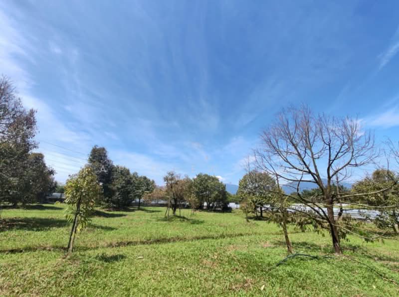 Agricultural Land for Sale in Kampung Batu 30 (Ulu Yam) - Yap Chew Ying - PropertyGuru.com.my