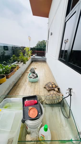 Bungalow House for Sale in Seksyen 6 (Kota Damansara) - Cannice You - PropertyGuru.com.my