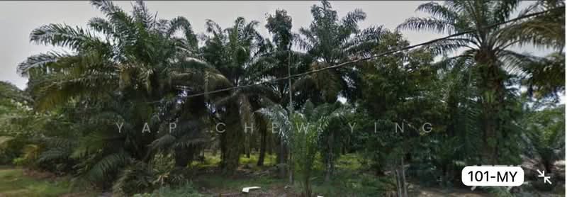 Tanah Perindustrian untuk Dijual di Teluk Gong (Port Klang (Pelabuhan Klang)) - Yap Chew Ying - PropertyGuru.com.my
