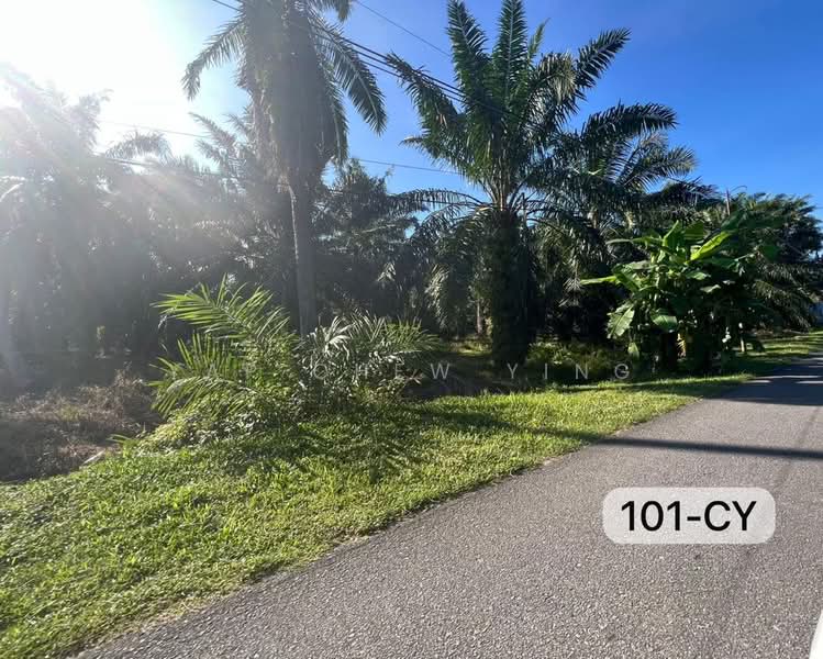 Agricultural Land for Sale in Taman Panglima (Telok Panglima Garang) - Yap Chew Ying - PropertyGuru.com.my