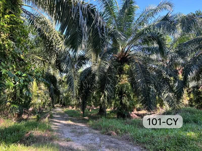 Agricultural Land for Sale in Taman Panglima (Telok Panglima Garang) - Yap Chew Ying - PropertyGuru.com.my