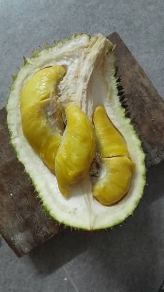 Agricultural Land for Sale in Kota, Rembau, Negeri Sembilan (Rembau) - Eunice Wong - PropertyGuru.com.my