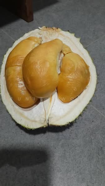 Agricultural Land for Sale in Kota, Rembau, Negeri Sembilan (Rembau) - Eunice Wong - PropertyGuru.com.my