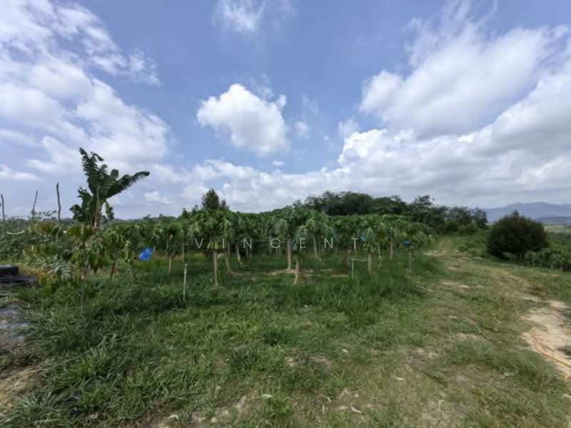 Tanah Pertanian untuk Dijual di Bandar Raub Perdana (Raub) - Vincent Tee - PropertyGuru.com.my