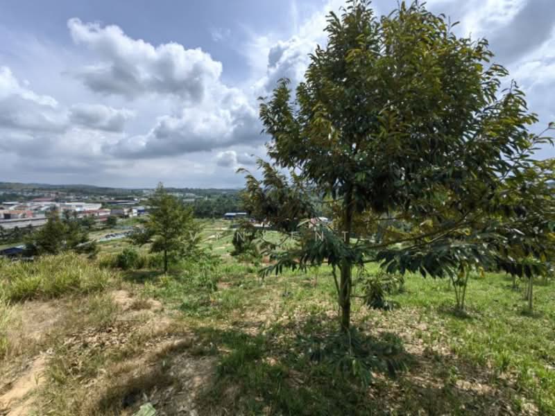 Tanah Pertanian untuk Dijual di Bandar Raub Perdana (Raub) - Vincent Tee - PropertyGuru.com.my