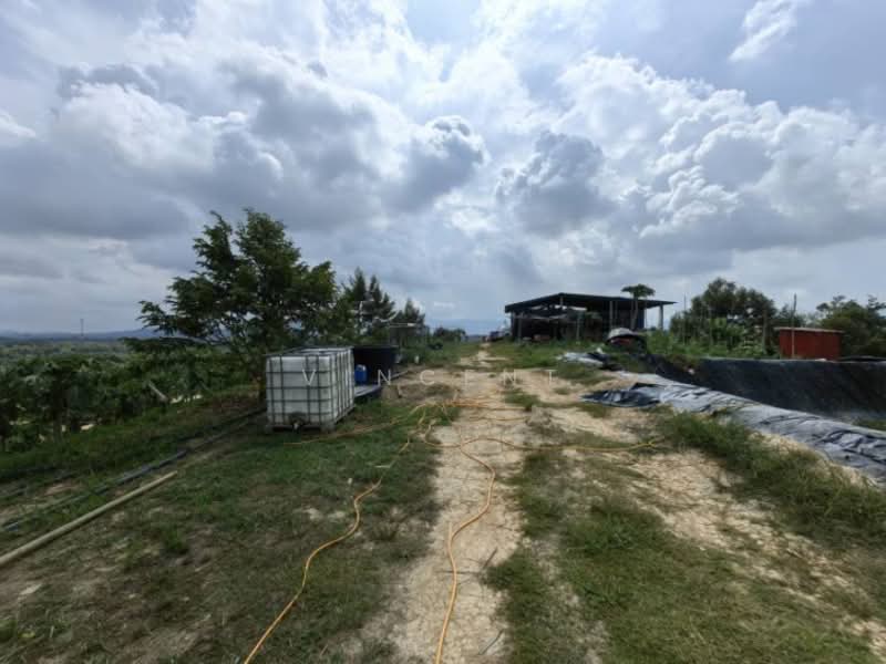 Tanah Pertanian untuk Dijual di Bandar Raub Perdana (Raub) - Vincent Tee - PropertyGuru.com.my
