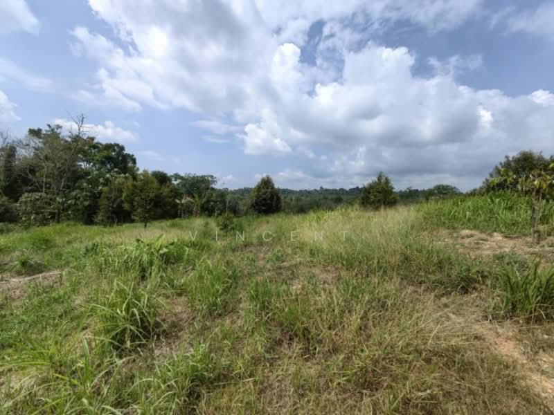 Tanah Pertanian untuk Dijual di Bandar Raub Perdana (Raub) - Vincent Tee - PropertyGuru.com.my