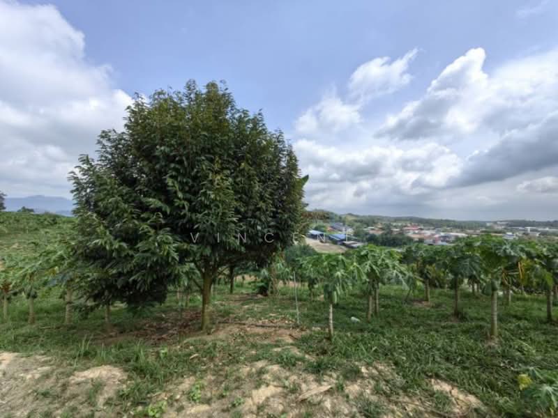 Tanah Pertanian untuk Dijual di Bandar Raub Perdana (Raub) - Vincent Tee - PropertyGuru.com.my