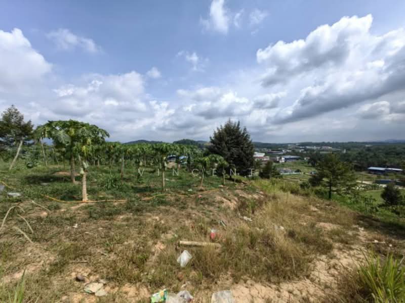 Tanah Pertanian untuk Dijual di Bandar Raub Perdana (Raub) - Vincent Tee - PropertyGuru.com.my