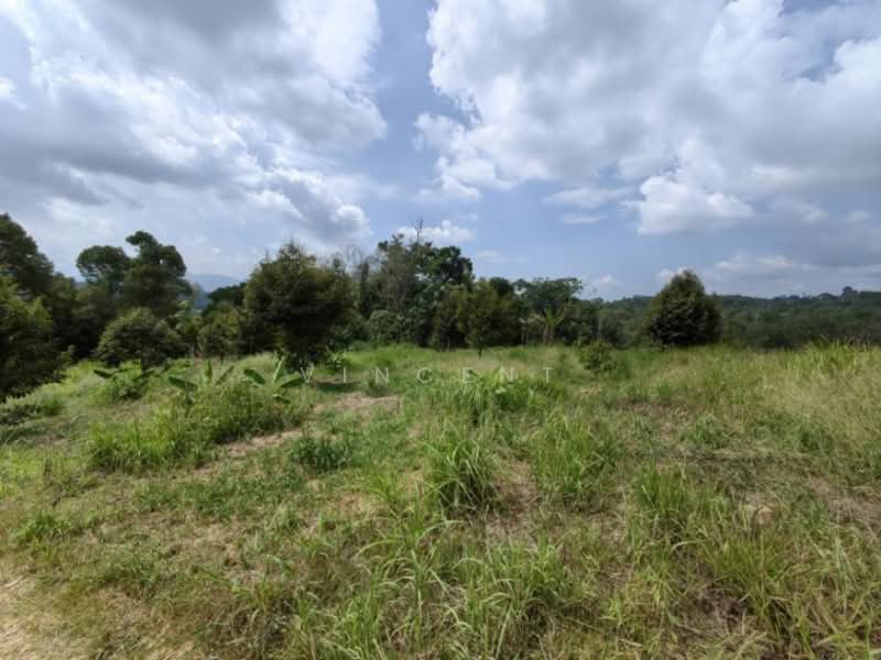 Tanah Pertanian untuk Dijual di Bandar Raub Perdana (Raub) - Vincent Tee - PropertyGuru.com.my