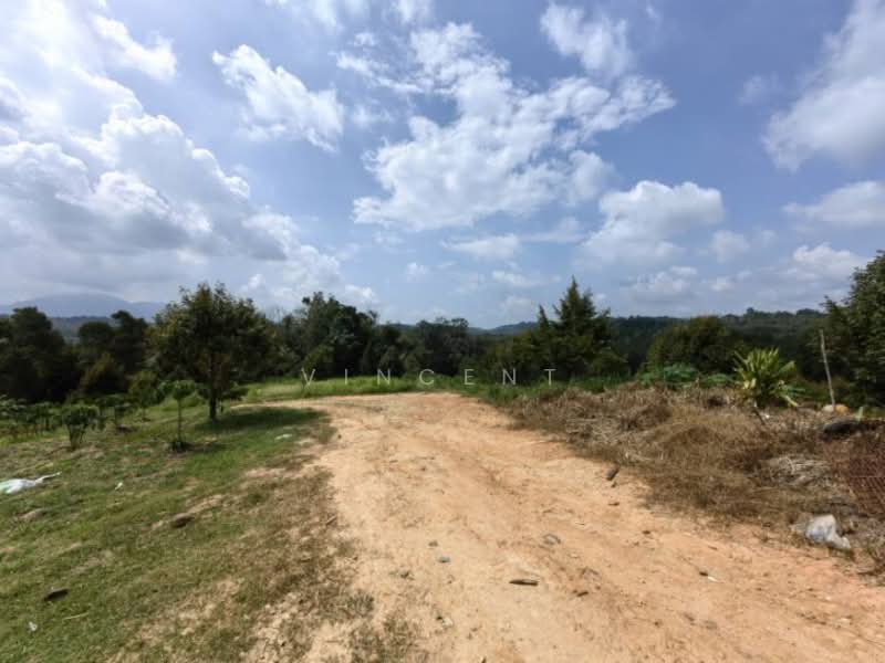 Tanah Pertanian untuk Dijual di Bandar Raub Perdana (Raub) - Vincent Tee - PropertyGuru.com.my