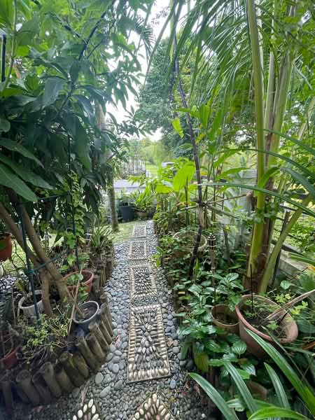 Rumah Teres 3 Tingkat untuk Dijual di Valencia (Sungai Buloh) - Celina Koh - PropertyGuru.com.my