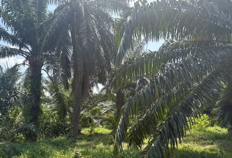 Tanah Perindustrian untuk Dijual di Telok Panglima Garang (Jenjarom) - Yap Chew Ying - PropertyGuru.com.my