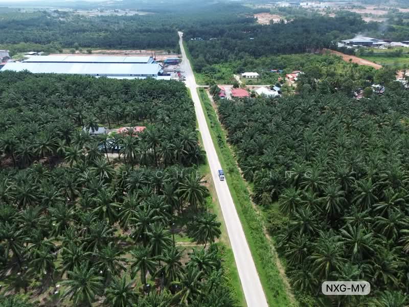 Tanah Perindustrian untuk Dijual di Kampung Baru Ijok (Ijok) - Yap Chew Ying - PropertyGuru.com.my