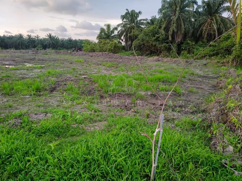 Agricultural Land for Sale in Kampung Permatang Pasir (Balik Pulau) - Gaik Suan Tan - Exterior - PropertyGuru.com.my