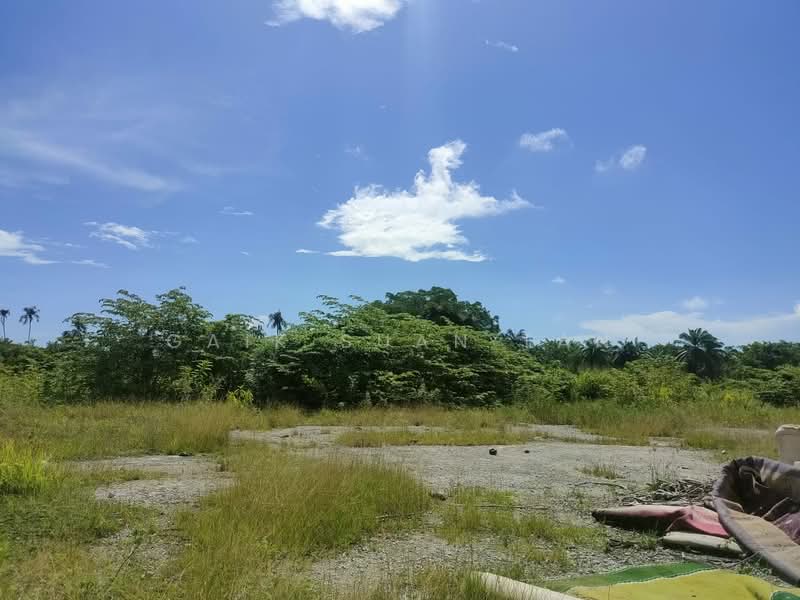 Agricultural Land for Sale in Kampung Permatang Pasir (Balik Pulau) - Gaik Suan Tan - Exterior - PropertyGuru.com.my