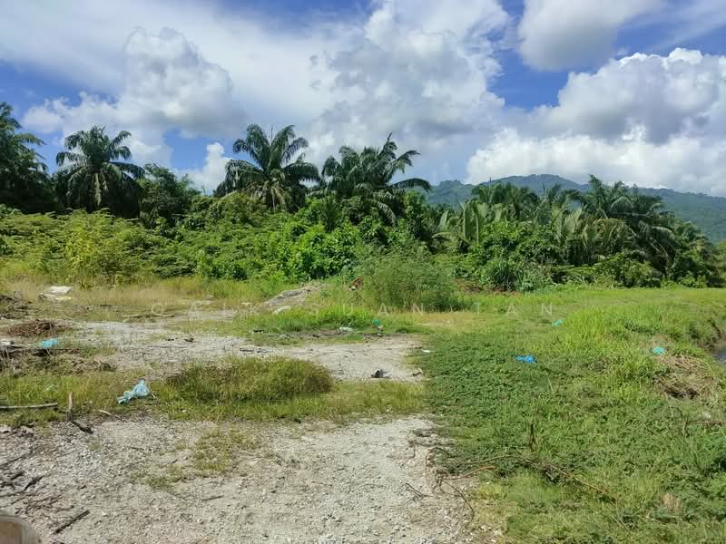 Agricultural Land for Sale in Kampung Permatang Pasir (Balik Pulau) - Gaik Suan Tan - Exterior - PropertyGuru.com.my