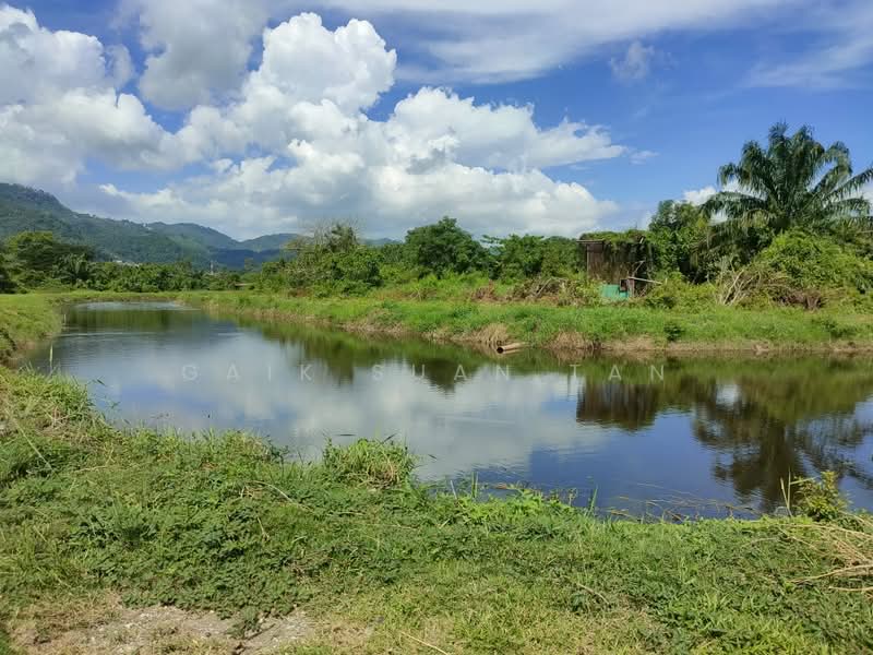 Agricultural Land for Sale in Kampung Permatang Pasir (Balik Pulau) - Gaik Suan Tan - Exterior - PropertyGuru.com.my