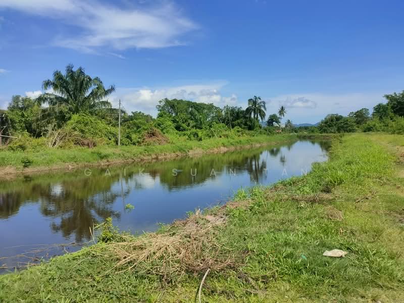 Agricultural Land for Sale in Kampung Permatang Pasir (Balik Pulau) - Gaik Suan Tan - Exterior - PropertyGuru.com.my