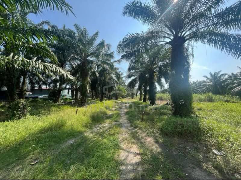 Tanah Pertanian untuk Dijual di Telok Panglima Garang (Selangor) - Yap Chew Ying - PropertyGuru.com.my