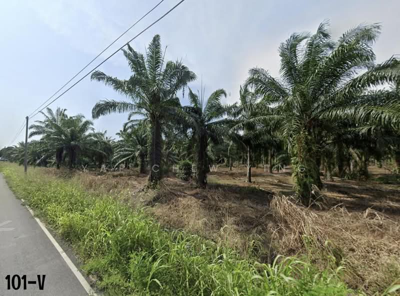 Tanah Pertanian untuk Dijual di Telok Panglima Garang (Selangor) - Yap Chew Ying - PropertyGuru.com.my
